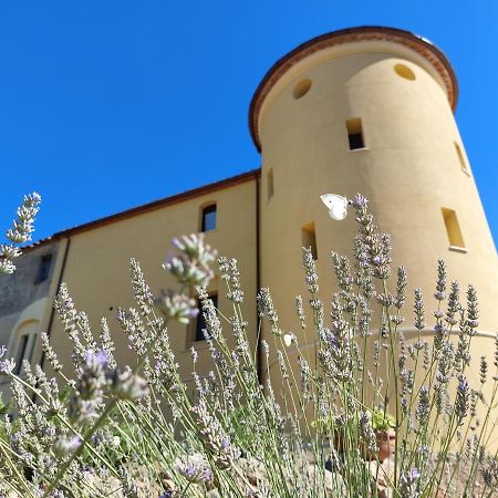 Apartament Fattoria La Campigliola Zewnętrze zdjęcie