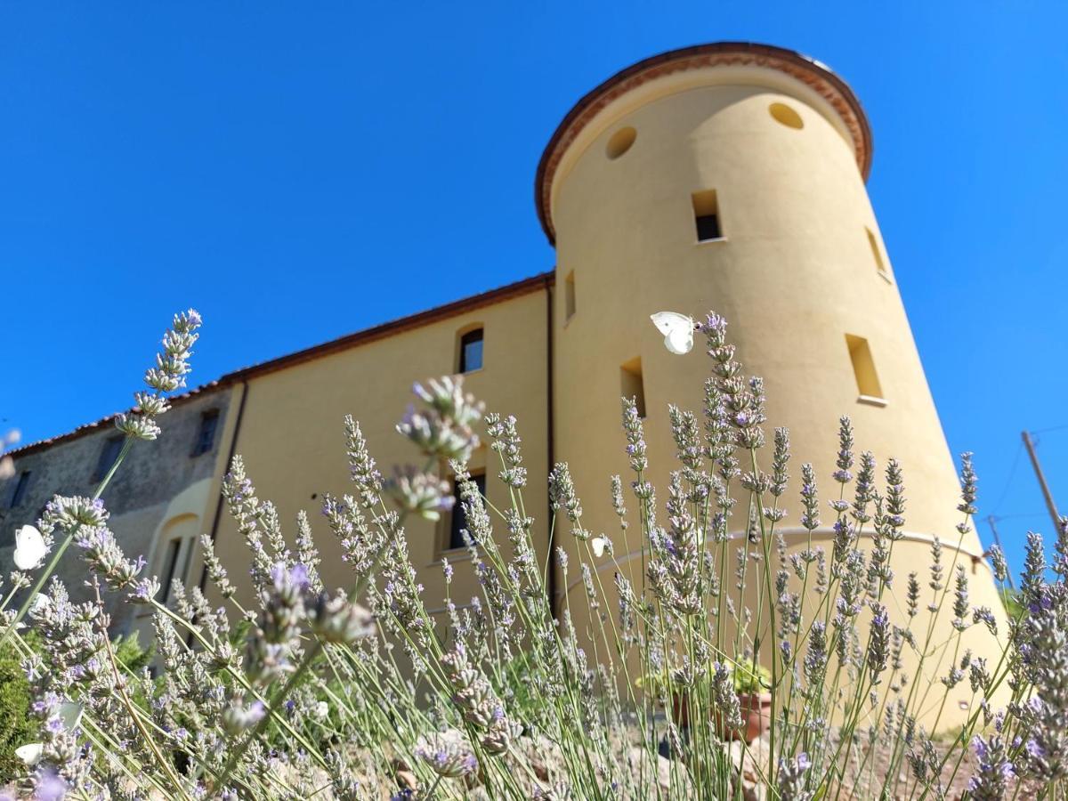 Apartament Fattoria La Campigliola Zewnętrze zdjęcie