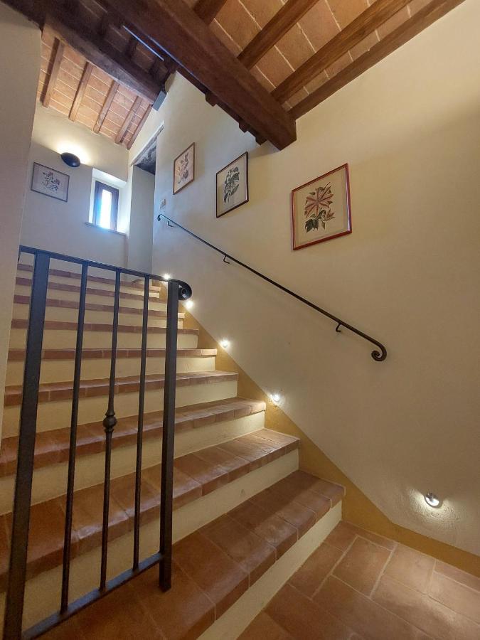 Apartament Fattoria La Campigliola Zewnętrze zdjęcie